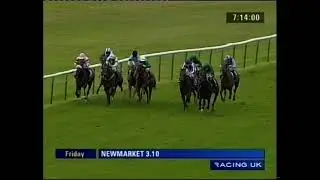 2008 Shadwell Middle Park Stakes