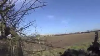 Decoying pigeons on winter oilseed rape