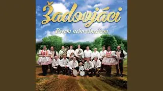Zavoňala fialenka