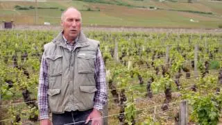 Domaine Michel Gros