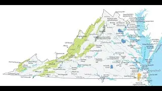 Virginia Bird Identification for Kids
