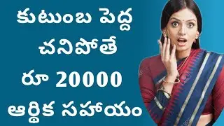 కుటుంబ పెద్ద మరణిస్తే 20000 ఆర్థిక సహాయం|National family benefit scheme|rs 20000  under NBF  scheme