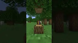 Minecraft #102