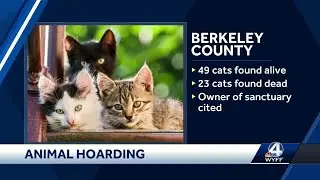23 dead cats, 49 other cats found inside South Carolina home, officials say