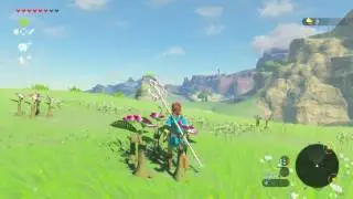 ZELDA BOTW: Korok Seed 18 - West Hyrule Plains