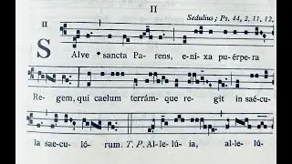Salve sancta Parens - Ad introitum in Commune Beatae Mariae Virginis