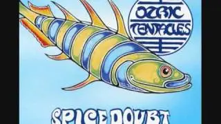 Ozric Tentacles - Cat Dna (live 1998).wmv