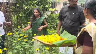 ചെണ്ടുമല്ലി വിളവെടുപ്പ് 2025
