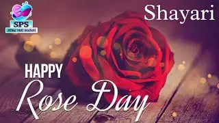 Rose day Shayari Status 2025🌹 । Rose day की शायरी #roseday