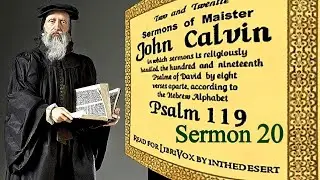 Sermons on Psalm 119:153-160 / Sermon 20 - John Calvin