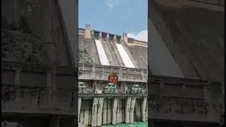 🚨Flood Gates Open At Bhakra Dam 🚨 🔔 #live #news #punjabnews #viralvideo