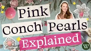 What are Natural Pink Conch Shell Pearls?