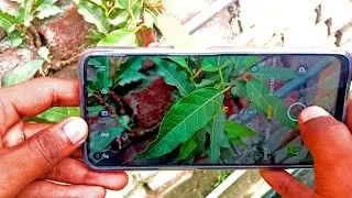 Realme 7🔥 Camera Testing with Chroma Boost Onrealmerealme7technotalkz