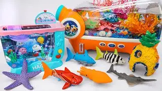 [🐋toy asmr🐋] ZURU Robo Mosasaurus & Sea Dinosaurs & Blue Shark & Dino Battle Toys ASMR 🌟 Review Toys
