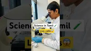 My Science Experiment with Immune Cells😱Part 1 |Tamil Scientist in Germany | #tamilscience
