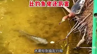 【笑亿天】钓鱼先打窝，比钓鱼佬还专业