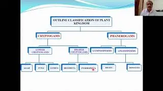 Classification of Plant Kingdom  Part- III