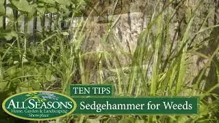 Sedghammer for Controlling Weeds in Flowerbeds