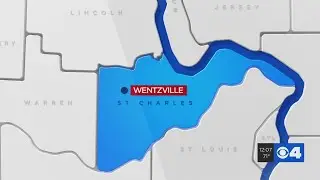 Student in custody after bringing gun to Holt High School