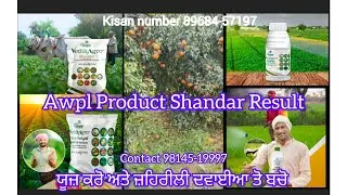 Awpl Agriculture Products Shandaar Result