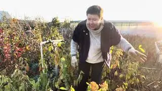 Ошмыгивание в зиму. Подготовка к хранению.
