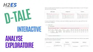 D&eacute;couvrez D-Tale : L'outil ultime pour explorer et visualiser vos #dataframes  en python. #dtale