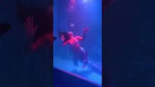 Aaj ki raat..!short!shorts#short#shorts#mermaid#entertainment#swim#activity
