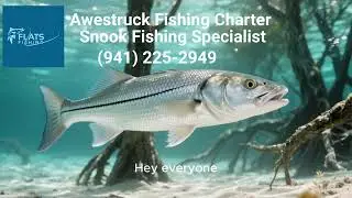 The Ultimate Snook Fishing Guide