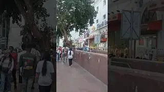 #delhicp #cp #delhi #delhilove #delhifurniture #food #shorts #youtubeshorts