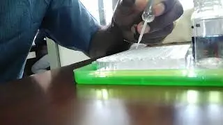 Adding Chemical into the Well Plate|Small Scale Chemistry Technique