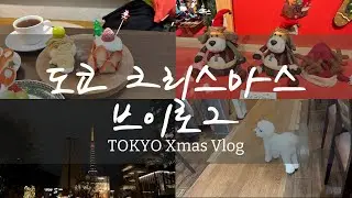 TOKYO Xmas Vlog 도쿄 크리스마스 브이로그 / emi&rsquo;s Vlog [한/일 자막]