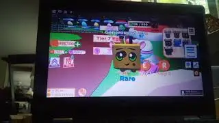 Times-Lapse of AFK hatching in Pet Ranch Simulator 2