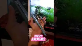 pinset aquascape #pinset #pinsetreptil #pinsetaquascape #pinsetakuarium #pinsetaquascape1set