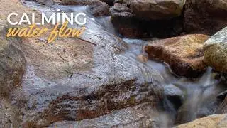 Gentle Water Flow with White Noise for Relaxation - Relaxing Water Stream - Subtle White Noise