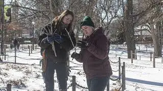Life & Legacy of the Bur Oak Tree