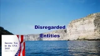 Disregarded Entities