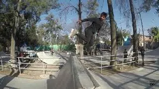 Flow in da Bowl | CELAYA | 2019