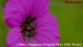 J Weo - Pegasus (Original Mix) [Silk Music]