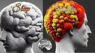 Psychology Shorts: Sleep Spindles