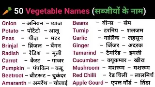 100 Words with Hindi Meanings | Word Meaning | Daily Use English