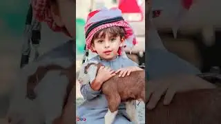 Bakra eid status | Coming soon eid ul adha status | Bakra eid coming soon status | bakra eid 2023