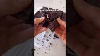 DOUBLE CHOCOLATE BROWNIES  #viral #bakingdelights #easydesserts #baking #chocobakes #shorts