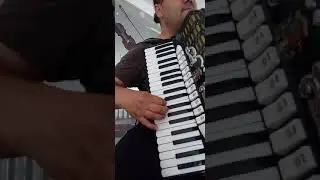 Moj Dragane-harmonika