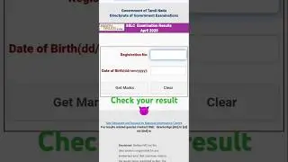 tn result 11 | 11 result link| sslc result tamil nadu 2025| class 11 result tn #updates #news #tn