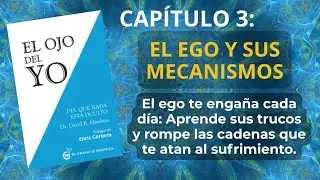 DAVID HAWKINS - El Ojo del Yo - Cap&iacute;tulo 3, Resumen Completo