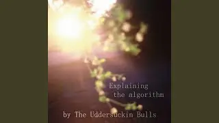 Explaining the algorithm