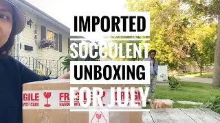 Plant Vlog 032 || IMPORTED SUCCULENT UNBOXING || Echeveria || Pachyphytum || Graptosedum