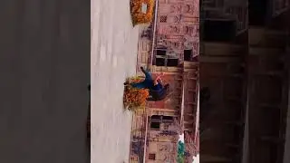 #martial art#flying kick#...