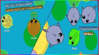 MOPE.IO TROLLING BIGGER ANIMALS + ASKING iStealth's IF THEY ARE REAL!! (Mope.io) &hearts;‿&hearts; 2018