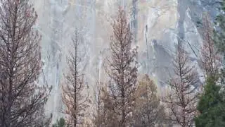 Yosemite El Capitan climbers